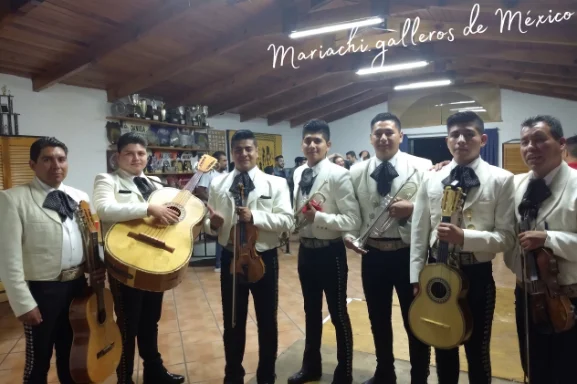 Mariachis Nicolás Romero precio Mejor precio serenata Mariachi Nicolás Romero